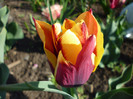P1000343