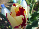 P1000344