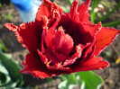 P1000345