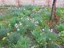 DSCN0465