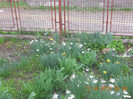 DSCN0467