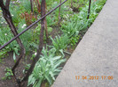 DSCN0469