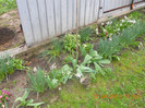 DSCN0472