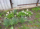 DSCN0474