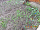 DSCN0475