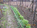 DSCN0479