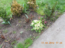DSCN0482