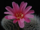 DSC09070