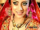 Pakistani Bridal dresses 2012 by Ainy Jaffri  Ainy Jaffri Latest Bridal Collection 2012 -she-styles.
