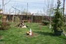 DSC00592