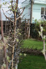 DSC00596