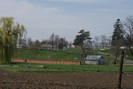 DSC00599
