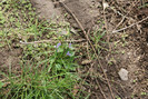 DSC00602
