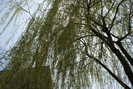 DSC00608