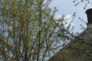 DSC00611