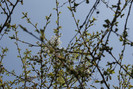 DSC00612