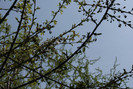 DSC00613