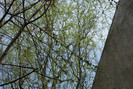 DSC00614