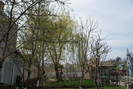 DSC00615