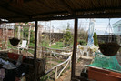 DSC00623