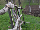 DSCF0977