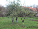 DSCF0983