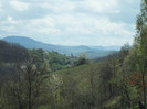 DSCF1019