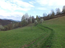 DSCF1006
