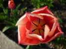 P1000354