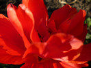 P1000357