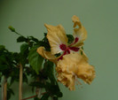 P1380484