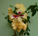 P1380487