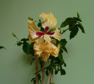 P1380488