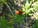 DSCN2463