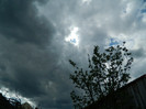 DSCN2485