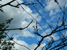 DSCN2489