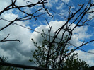 DSCN2490
