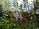 DSCN2493