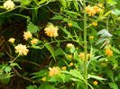 DSCN2496