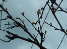 DSCN2511