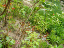 DSCN2512