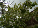 DSCN2548