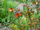 DSCN2613