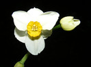 DSCF0162