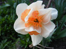 DSCF0101
