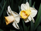DSCF0129