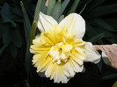 DSCF0044