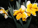 DSCF0045
