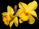 DSCF0146