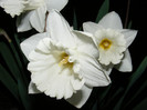 DSCF0126